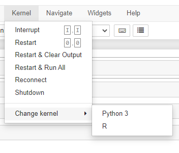 R kernal in Jupyter Notebook