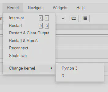 R kernal in Jupyter Notebook